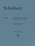 Cover: Franz Schubert - Klaviersonate a-moll op. post. 143 D 784 - Henle, G&uuml;nter