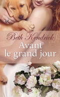 Cover: Avant le grand jour - MILADY