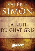 Cover: La Nuit du chat gris - Bragelonne