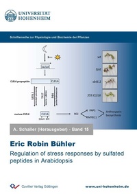 Abbildung von: Regulation of stress responses by sulfated peptides in Arabidopsis - Cuvillier Verlag