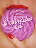 Cover: I spindelns n&auml;t - erotisk novell - Cupido