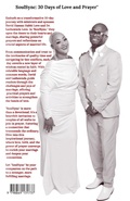 Cover: "SoulSync - Stork Publishing LLC