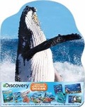Cover: Discovery Learning Adventures: Ocean - Silver Dolphin Books