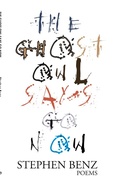 Cover: The Ghost Owl Says Go Now - Steel Toe Books
