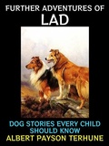 Cover: Further Adventures of Lad - Diamond Book Publishing