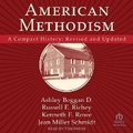Cover: American Methodism - Tantor Audio
