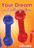 Cover: Your Dream is Calling You - Veli Ndaba - 'The NeuroEngineer'