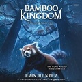 Cover: Bamboo Kingdom #5: The Lightning Path - HarperCollins