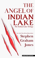 Cover: The Angel of Indian Lake - Thorndike Press Large Print