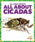 Cover: All about Cicadas - Pogo Books