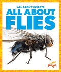 Cover: All about Flies - Pogo Books