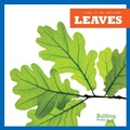 Cover: Leaves - Bullfrog Books