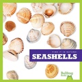 Cover: Seashells - Bullfrog Books