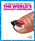 Cover: The World's Smallest Amphibians - Pogo Books