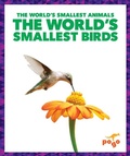 Cover: The World's Smallest Birds - Pogo Books