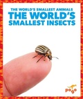 Cover: The World's Smallest Insects - Pogo Books
