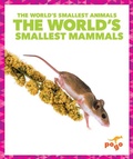 Cover: The World's Smallest Mammals - Pogo Books
