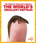 Cover: The World's Smallest Reptiles - Pogo Books