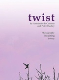 Cover: twist - Gray Bear Publications
