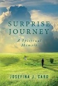 Cover: Surprise Journey - Hearken Books