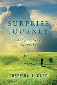 Enlarge image Cover: Surprise Journey - Hearken Books