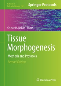 Abbildung von: Tissue Morphogenesis - Humana