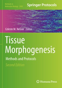 Abbildung von: Tissue Morphogenesis - Humana