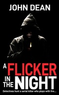 Cover: A Flicker in the Night - Book Folks
