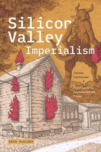 Abbildung von: Silicon Valley Imperialism - De Gruyter