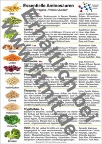 Abbildung von: Aminosäuren und vegane Protein-Quellen - Aeckersberg, Ingrid