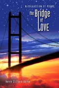 Cover: The Bridge of Love - Kevin Burke