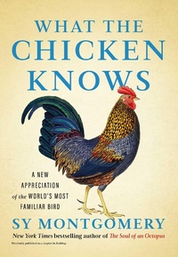 Abbildung von: What the Chicken Knows - Atria Books