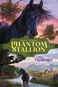 Enlarge image Cover: The Challenger - Aladdin