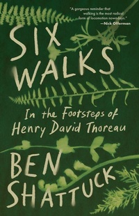 Enlarge image Cover: Six Walks - Zando