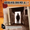 Cover: Sherlock Holmes und Co. 68: Der kalte Hauch der Rache - Romantruhe