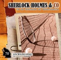 Cover: Sherlock Holmes und Co.70: Ein wildes Spiel - Romantruhe