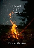 Cover: Secret Night Song - Lulu.com