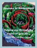 Cover: Journey To Amazement - Lulu.com
