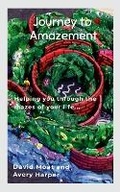 Cover: Journey To Amazement - Lulu.com