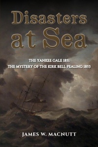 Enlarge image Cover: Disasters at Sea - Austin Macauley Publishers