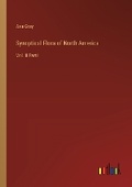 Cover: Synoptical Flora of North America - Outlook Verlag