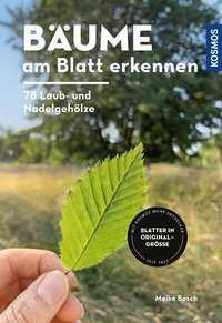 Abbildung von: Bäume am Blatt erkennen - 78 Laub- und Nadelgehölze. Blätter in Originalgröße - Kosmos