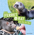 Cover: Is a Ferret or a Rat the Pet for Me? - Pebble Books