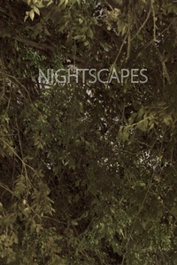 Abbildung von: Nightscapes - Blurb