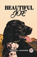 Cover: Beautiful Joe - Double 9 Books LLP