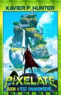 Cover: Test Environment - Magical Scrivener Press