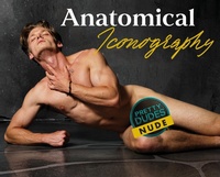 Abbildung von: Anatomical Iconography - CSRC Storytelling