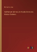 Cover: Halitherium Schinzi, die fossile Sirene des Mainzer Beckens - Outlook Verlag