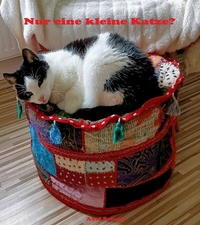 Abbildung von: Nur eine kleine Katze? - epubli