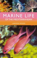 Cover: Marine Life of the Mediterranean - Bloomsbury Wildlife